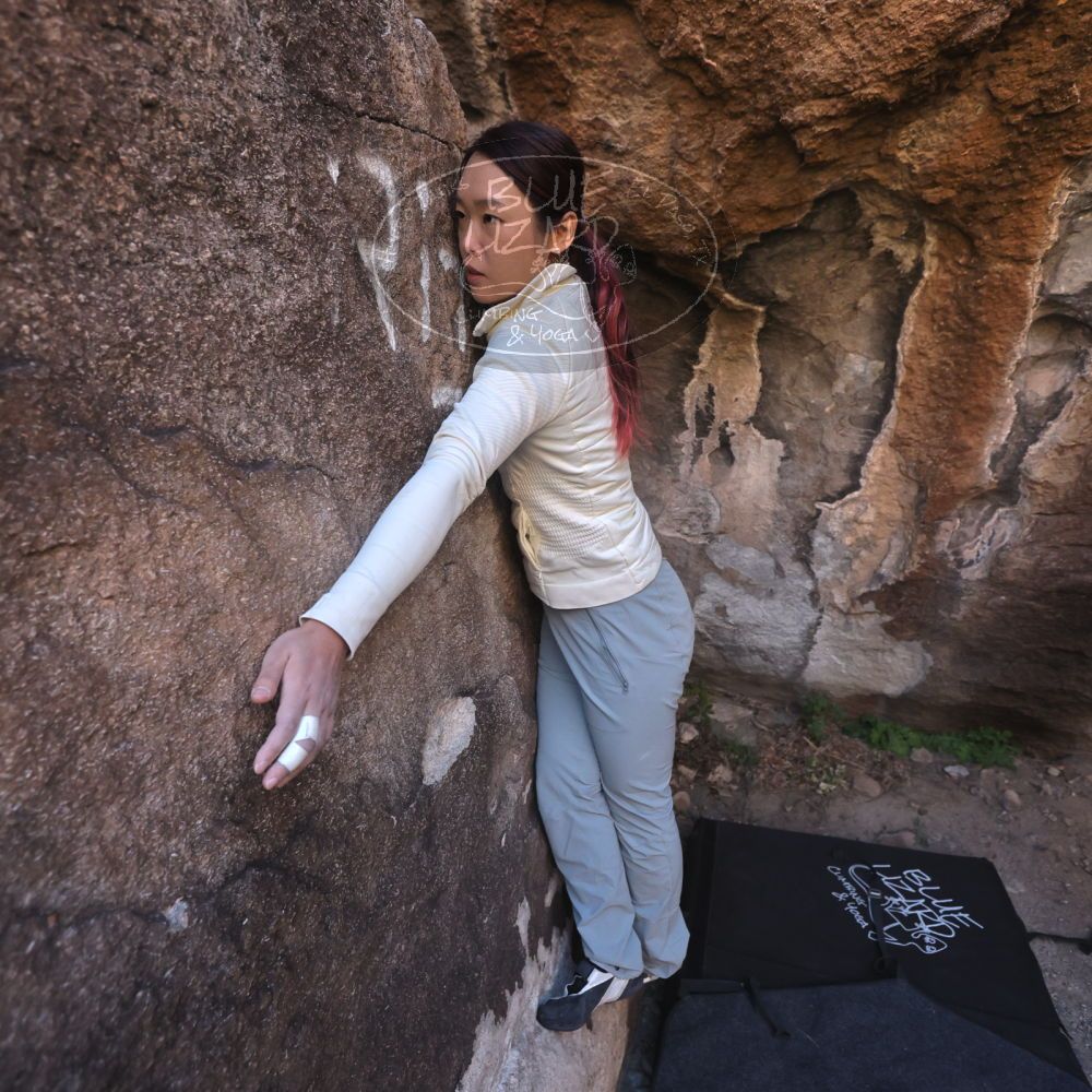 

Filename: SRM_20251109_1426151.jpg
Aperture: f/4.0
Shutter Speed: 1/1250
Body: Canon EOS R6
Lens: Canon EF 16-35mm f/2.8 L