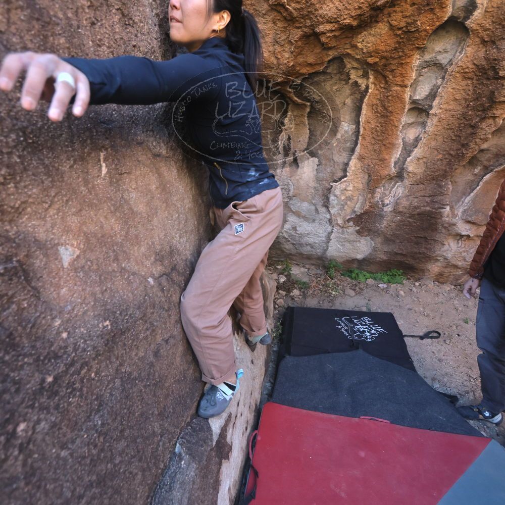 

Filename: SRM_20251109_1427261.jpg
Aperture: f/4.0
Shutter Speed: 1/1250
Body: Canon EOS R6
Lens: Canon EF 16-35mm f/2.8 L