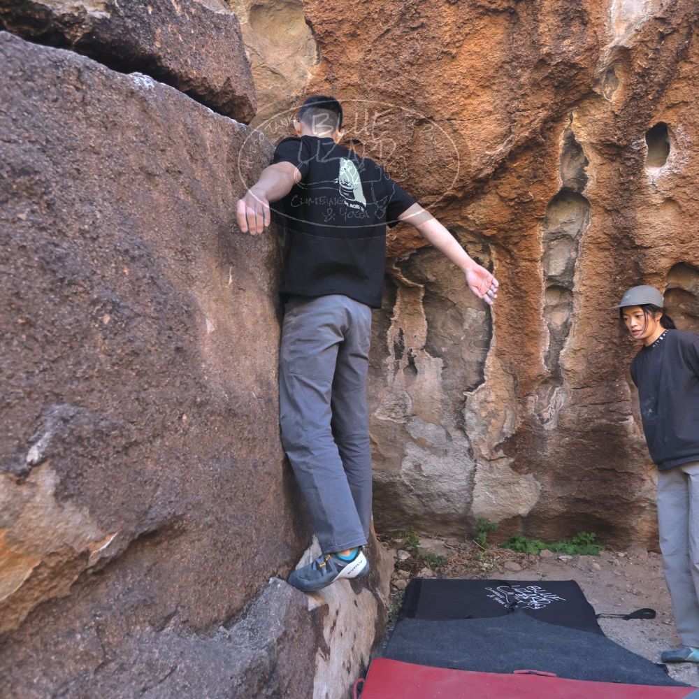 

Filename: SRM_20251109_1429000.jpg
Aperture: f/4.0
Shutter Speed: 1/1250
Body: Canon EOS R6
Lens: Canon EF 16-35mm f/2.8 L