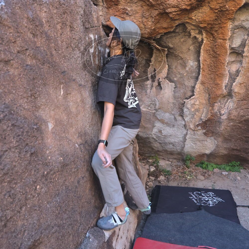 

Filename: SRM_20251109_1430110.jpg
Aperture: f/4.0
Shutter Speed: 1/1250
Body: Canon EOS R6
Lens: Canon EF 16-35mm f/2.8 L