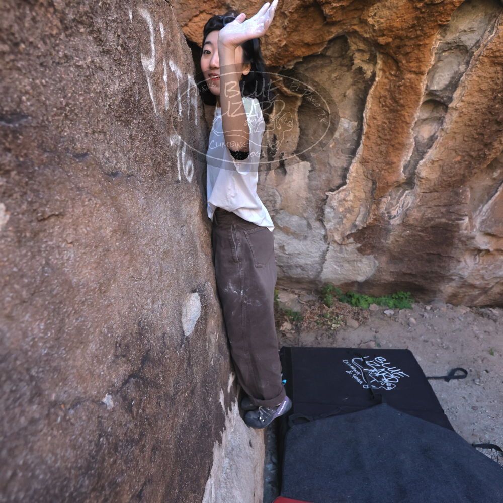 

Filename: SRM_20251109_1430400.jpg
Aperture: f/4.0
Shutter Speed: 1/1250
Body: Canon EOS R6
Lens: Canon EF 16-35mm f/2.8 L