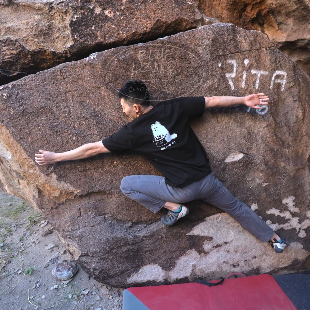 

Filename: SRM_20251109_1433310.jpg
Aperture: f/4.0
Shutter Speed: 1/1250
Body: Canon EOS R6
Lens: Canon EF 16-35mm f/2.8 L