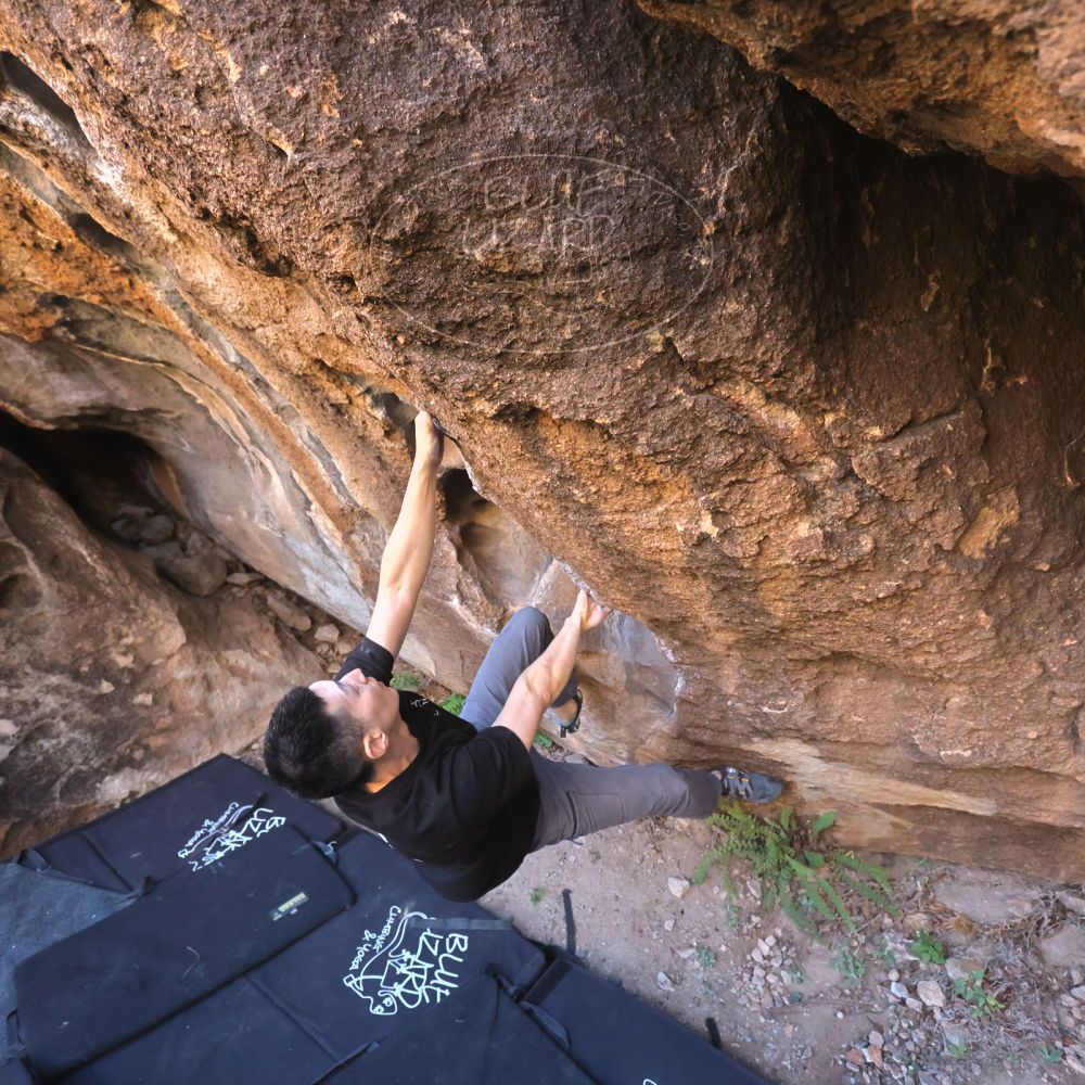 

Filename: SRM_20251109_1435070.jpg
Aperture: f/4.0
Shutter Speed: 1/1250
Body: Canon EOS R6
Lens: Canon EF 16-35mm f/2.8 L