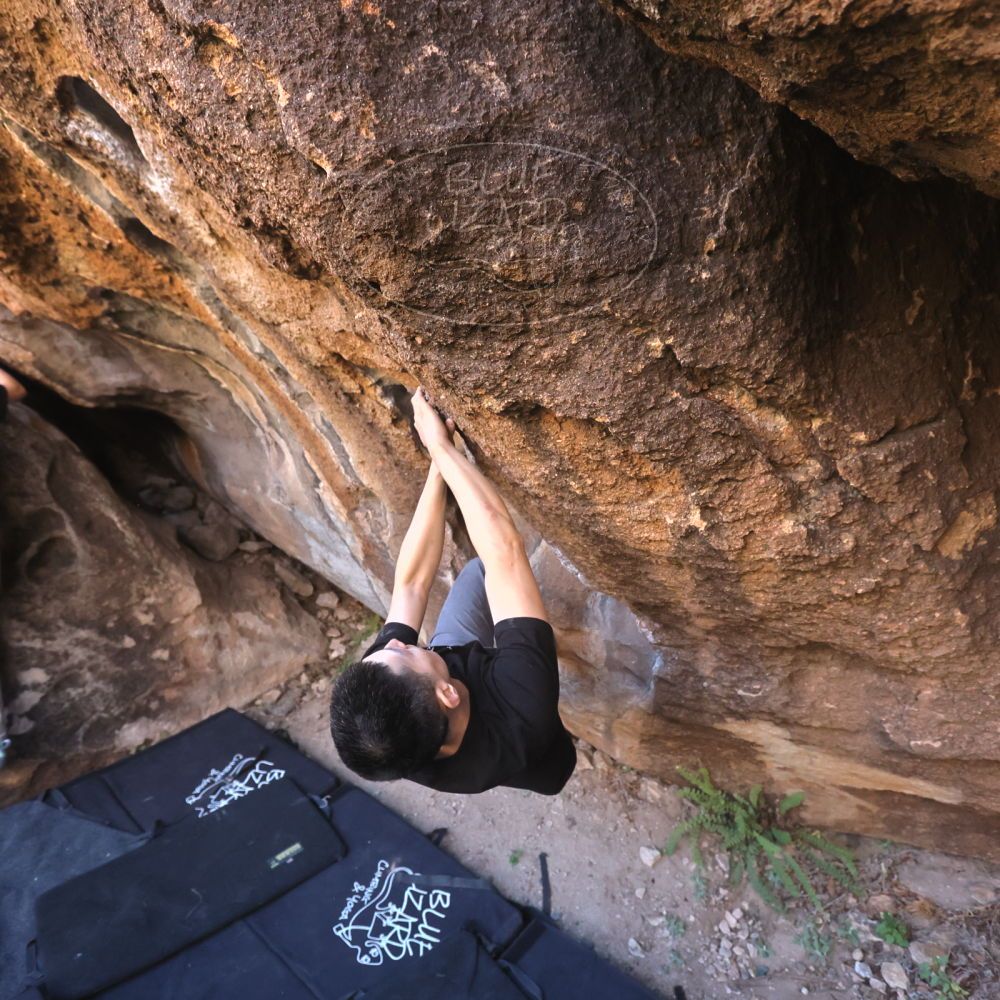 

Filename: SRM_20251109_1435090.jpg
Aperture: f/4.0
Shutter Speed: 1/1250
Body: Canon EOS R6
Lens: Canon EF 16-35mm f/2.8 L