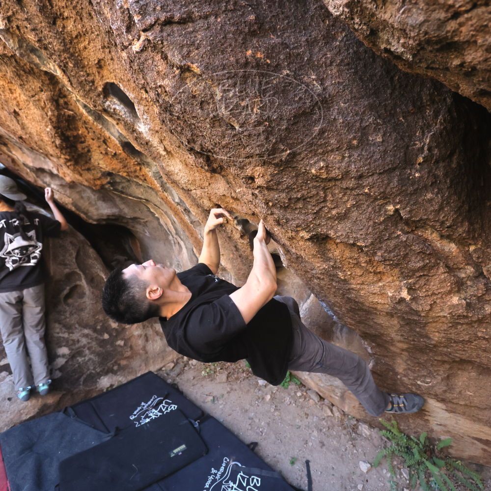 

Filename: SRM_20251109_1435111.jpg
Aperture: f/4.0
Shutter Speed: 1/1250
Body: Canon EOS R6
Lens: Canon EF 16-35mm f/2.8 L