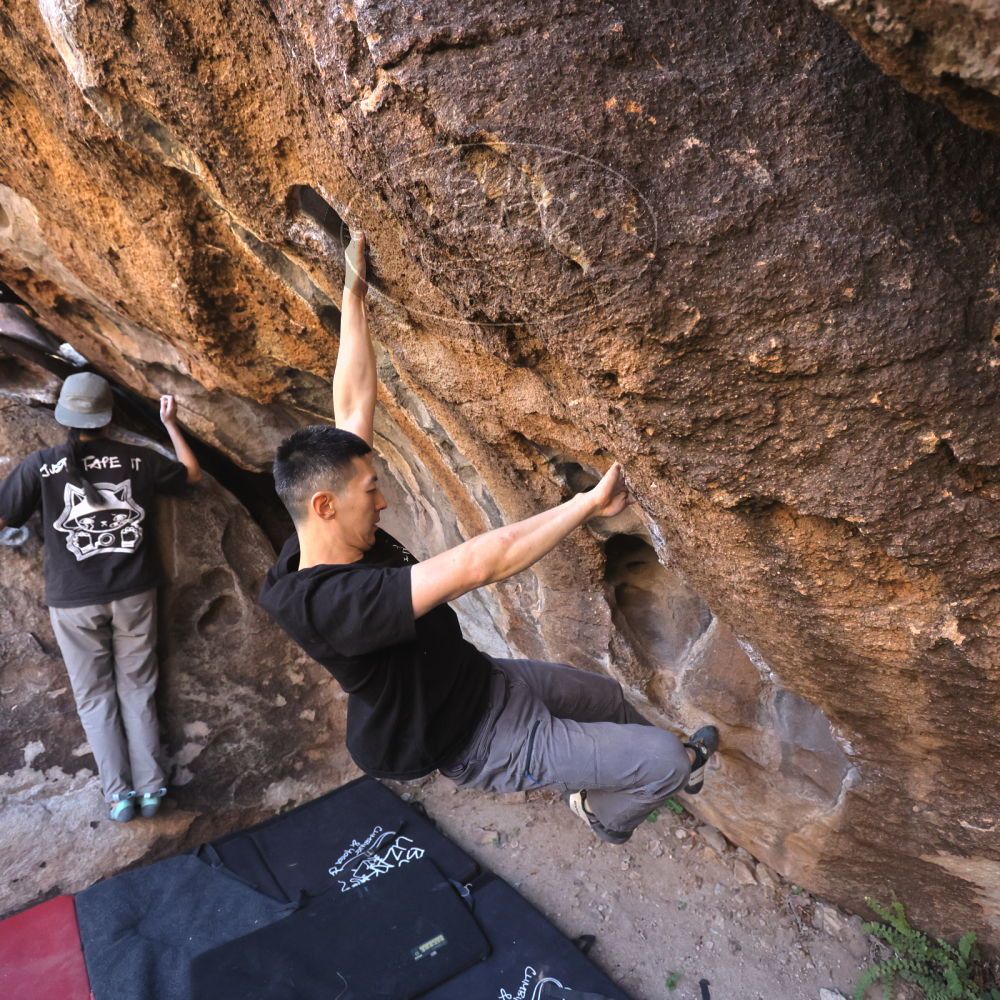 

Filename: SRM_20251109_1435120.jpg
Aperture: f/4.0
Shutter Speed: 1/1250
Body: Canon EOS R6
Lens: Canon EF 16-35mm f/2.8 L