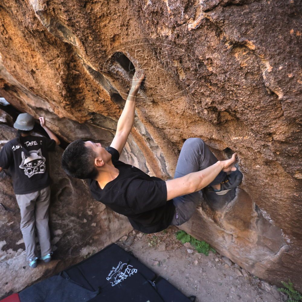 

Filename: SRM_20251109_1435140.jpg
Aperture: f/4.0
Shutter Speed: 1/1250
Body: Canon EOS R6
Lens: Canon EF 16-35mm f/2.8 L