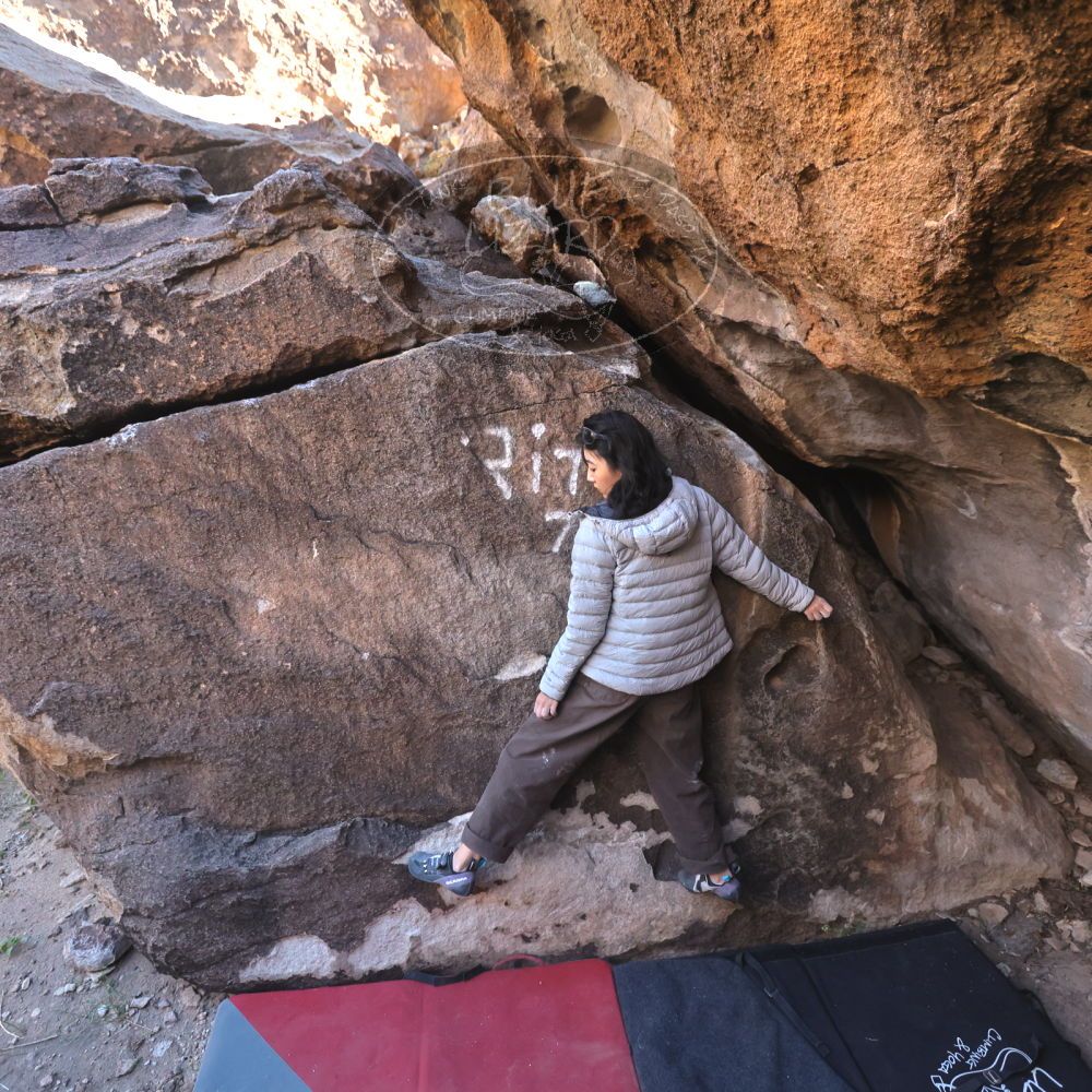 

Filename: SRM_20251109_1436470.jpg
Aperture: f/4.0
Shutter Speed: 1/1250
Body: Canon EOS R6
Lens: Canon EF 16-35mm f/2.8 L