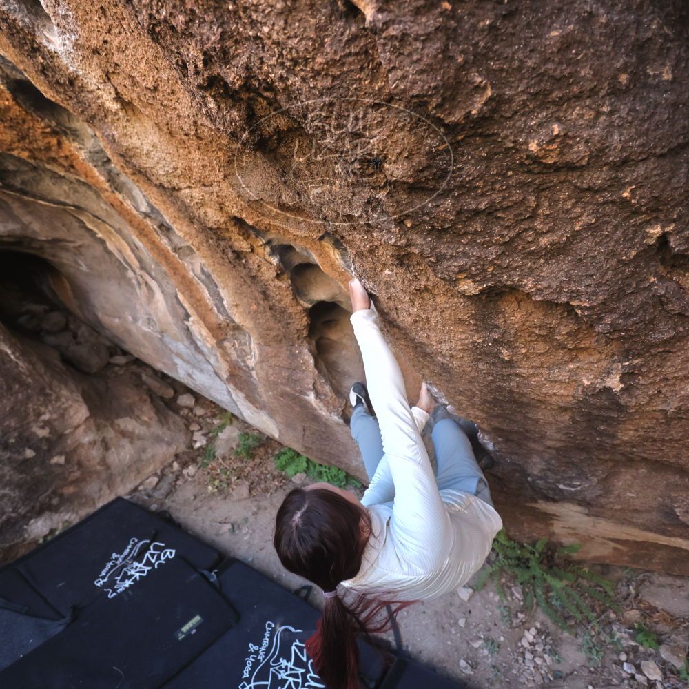 

Filename: SRM_20251109_1437270.jpg
Aperture: f/4.0
Shutter Speed: 1/1250
Body: Canon EOS R6
Lens: Canon EF 16-35mm f/2.8 L