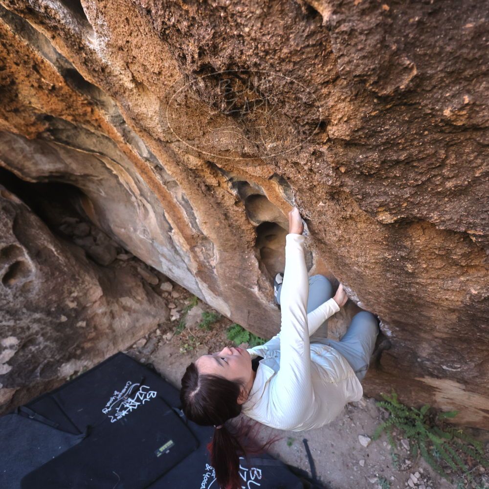 

Filename: SRM_20251109_1437280.jpg
Aperture: f/4.0
Shutter Speed: 1/1250
Body: Canon EOS R6
Lens: Canon EF 16-35mm f/2.8 L