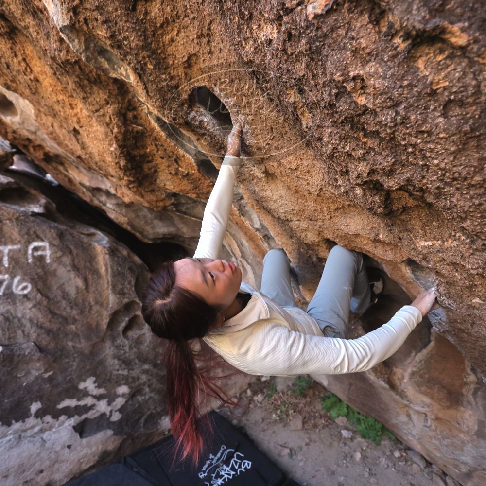 

Filename: SRM_20251109_1437370.jpg
Aperture: f/4.0
Shutter Speed: 1/1250
Body: Canon EOS R6
Lens: Canon EF 16-35mm f/2.8 L