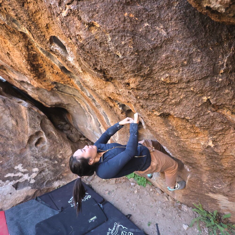 

Filename: SRM_20251109_1439301.jpg
Aperture: f/4.0
Shutter Speed: 1/1250
Body: Canon EOS R6
Lens: Canon EF 16-35mm f/2.8 L