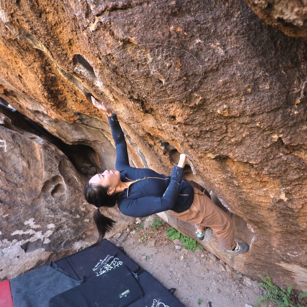 

Filename: SRM_20251109_1439302.jpg
Aperture: f/4.0
Shutter Speed: 1/1250
Body: Canon EOS R6
Lens: Canon EF 16-35mm f/2.8 L