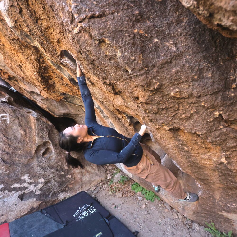 

Filename: SRM_20251109_1439303.jpg
Aperture: f/4.0
Shutter Speed: 1/1250
Body: Canon EOS R6
Lens: Canon EF 16-35mm f/2.8 L