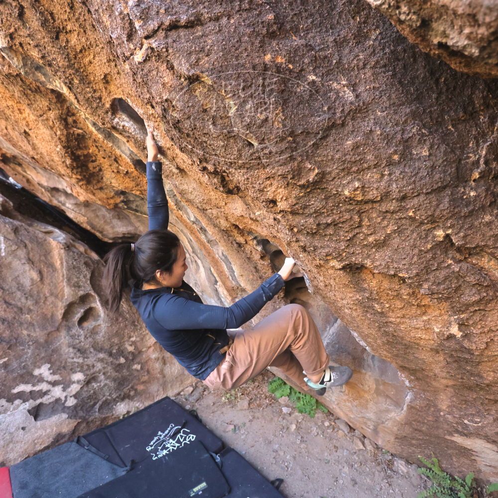 

Filename: SRM_20251109_1439320.jpg
Aperture: f/4.0
Shutter Speed: 1/1250
Body: Canon EOS R6
Lens: Canon EF 16-35mm f/2.8 L