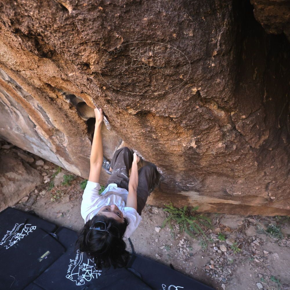 

Filename: SRM_20251109_1442030.jpg
Aperture: f/4.0
Shutter Speed: 1/1250
Body: Canon EOS R6
Lens: Canon EF 16-35mm f/2.8 L