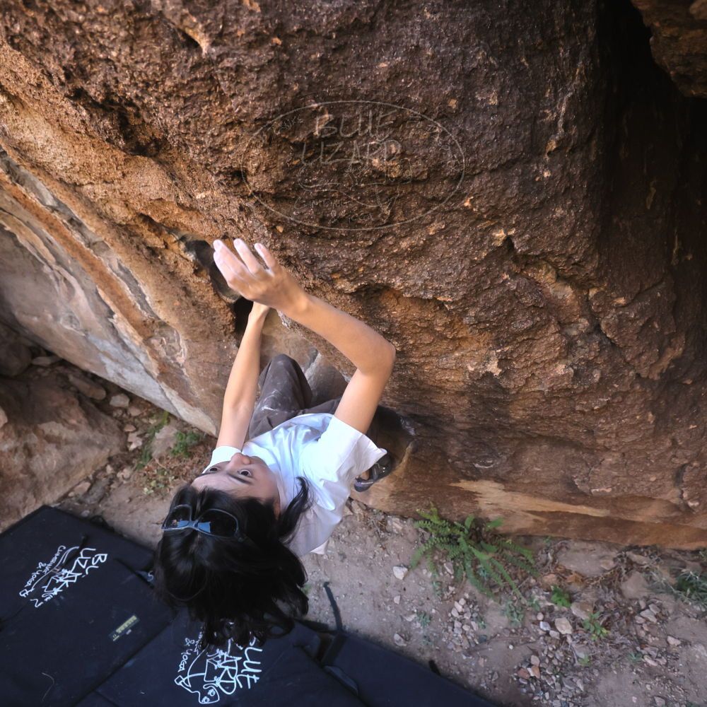 

Filename: SRM_20251109_1442031.jpg
Aperture: f/4.0
Shutter Speed: 1/1250
Body: Canon EOS R6
Lens: Canon EF 16-35mm f/2.8 L