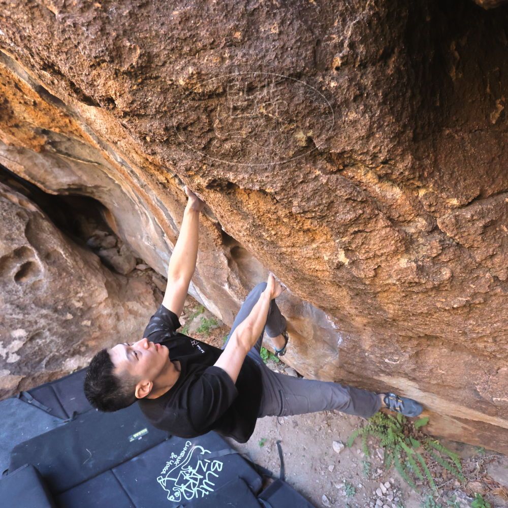 

Filename: SRM_20251109_1442470.jpg
Aperture: f/4.0
Shutter Speed: 1/1250
Body: Canon EOS R6
Lens: Canon EF 16-35mm f/2.8 L