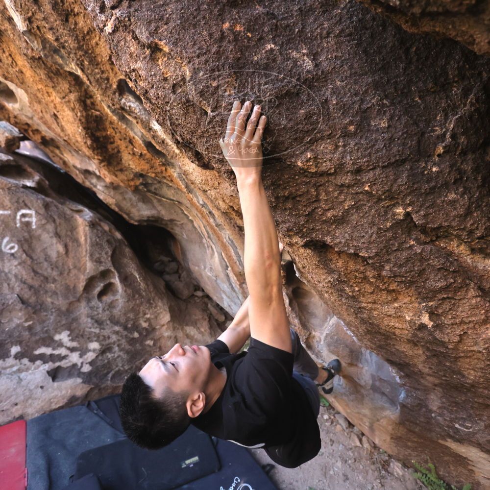 

Filename: SRM_20251109_1442501.jpg
Aperture: f/4.0
Shutter Speed: 1/1250
Body: Canon EOS R6
Lens: Canon EF 16-35mm f/2.8 L