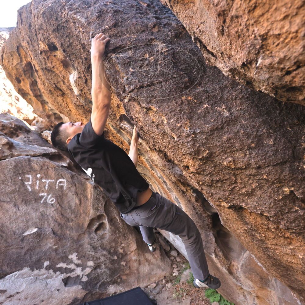 

Filename: SRM_20251109_1443020.jpg
Aperture: f/4.0
Shutter Speed: 1/1250
Body: Canon EOS R6
Lens: Canon EF 16-35mm f/2.8 L