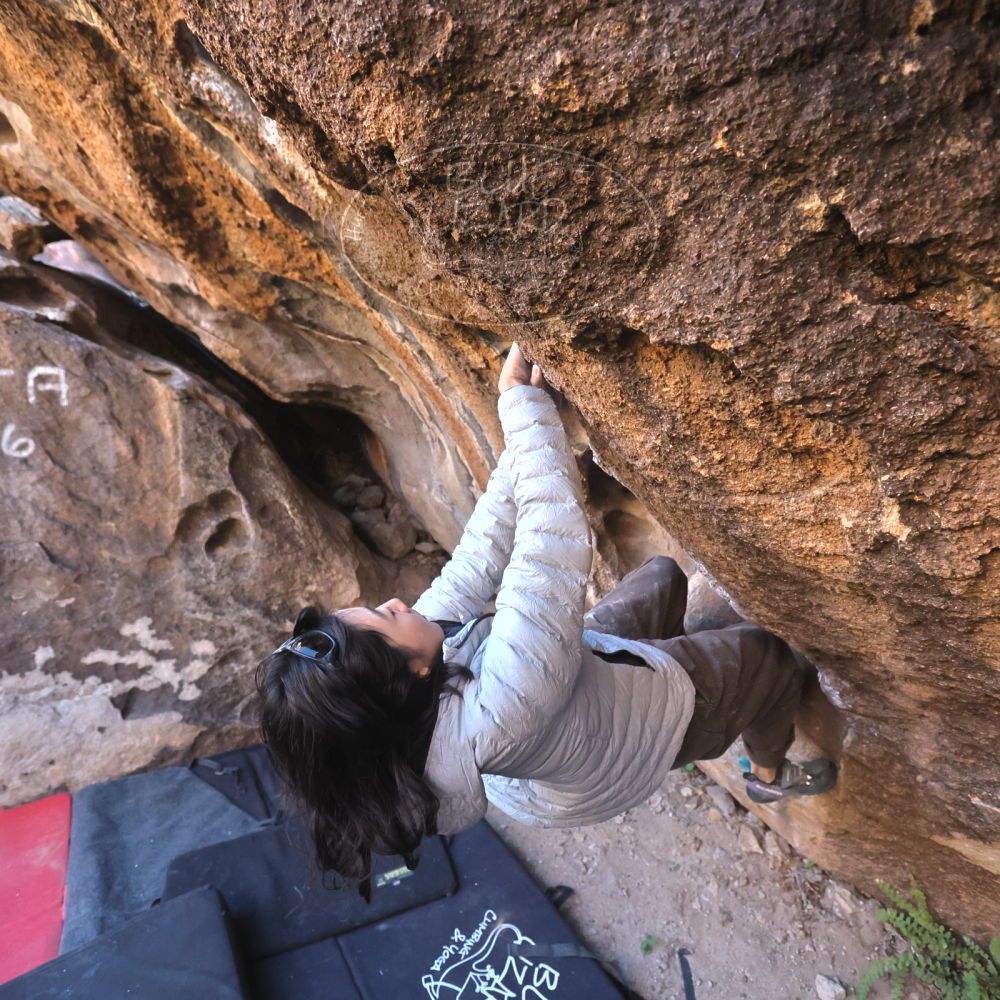 

Filename: SRM_20251109_1445300.jpg
Aperture: f/4.0
Shutter Speed: 1/1250
Body: Canon EOS R6
Lens: Canon EF 16-35mm f/2.8 L