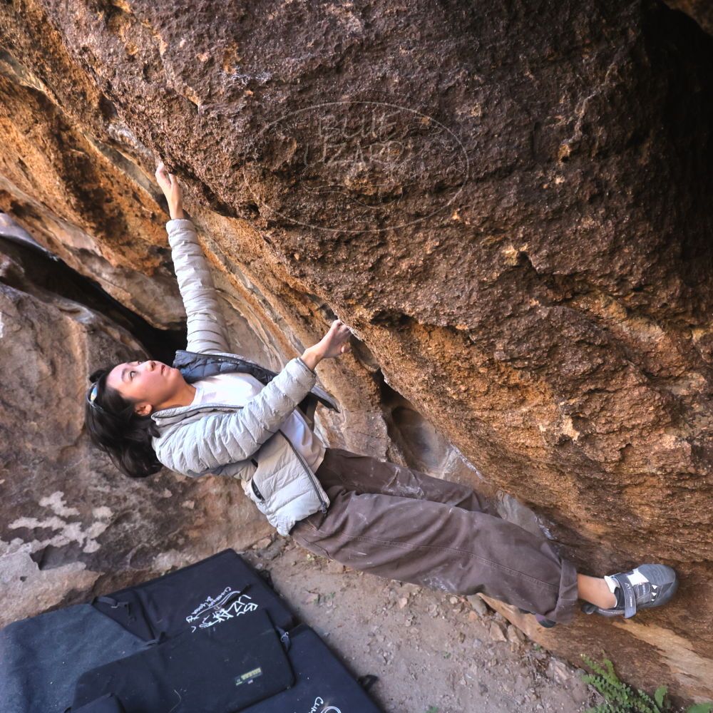 

Filename: SRM_20251109_1445460.jpg
Aperture: f/4.0
Shutter Speed: 1/1250
Body: Canon EOS R6
Lens: Canon EF 16-35mm f/2.8 L