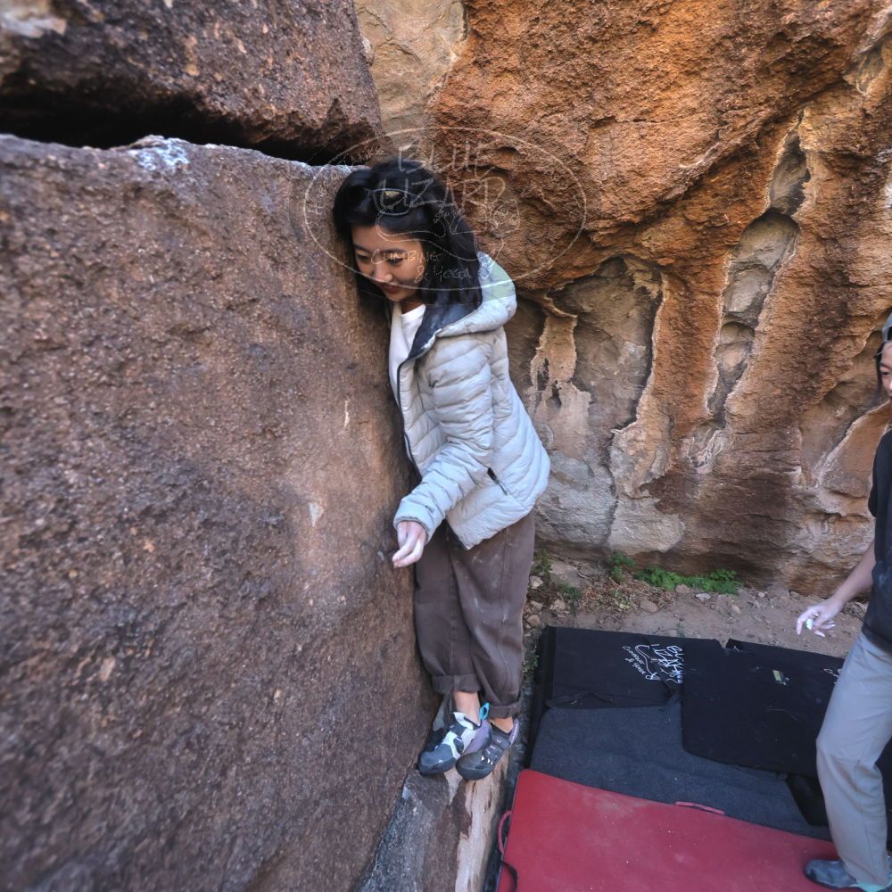 

Filename: SRM_20251109_1447320.jpg
Aperture: f/4.0
Shutter Speed: 1/1250
Body: Canon EOS R6
Lens: Canon EF 16-35mm f/2.8 L