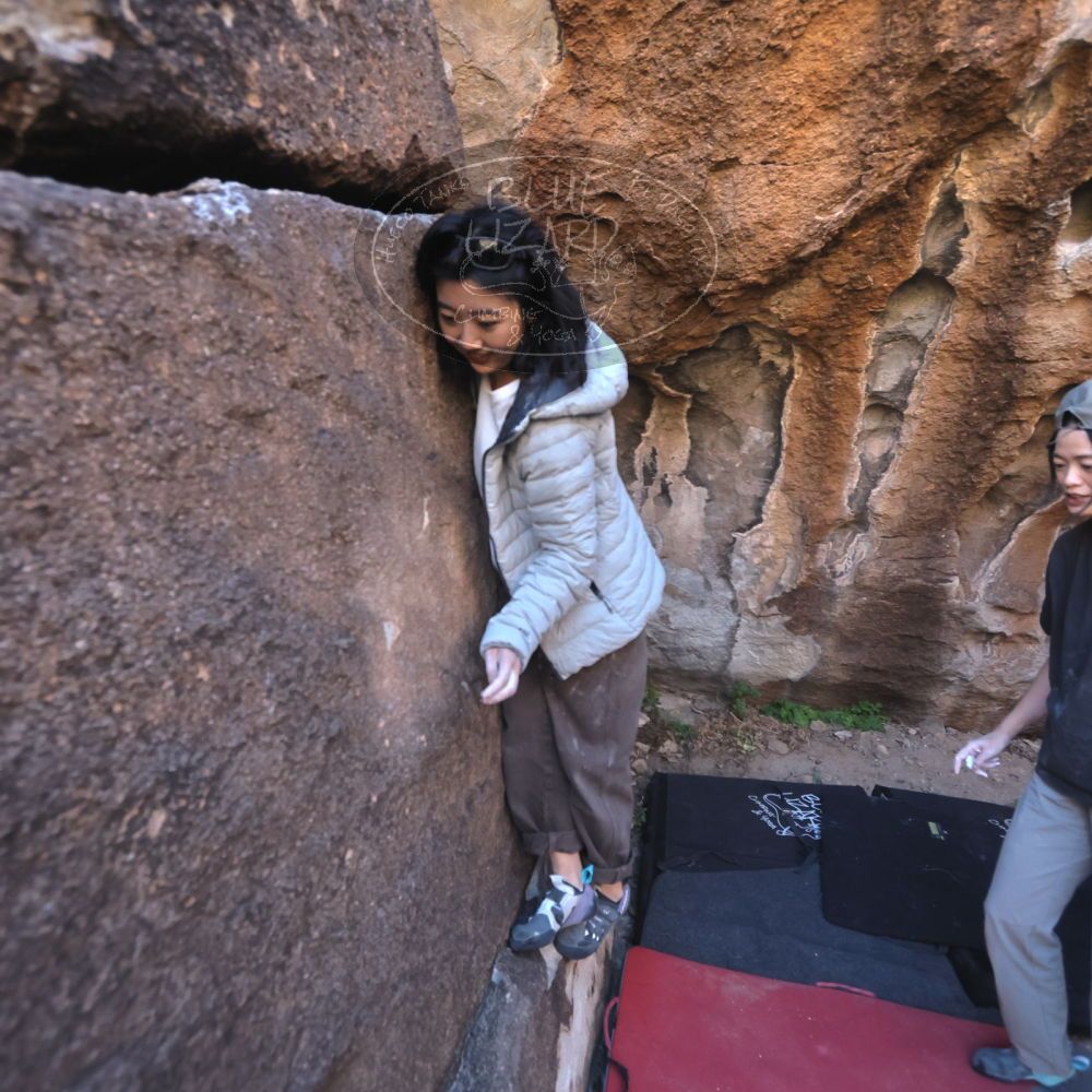 

Filename: SRM_20251109_1447321.jpg
Aperture: f/4.0
Shutter Speed: 1/1250
Body: Canon EOS R6
Lens: Canon EF 16-35mm f/2.8 L