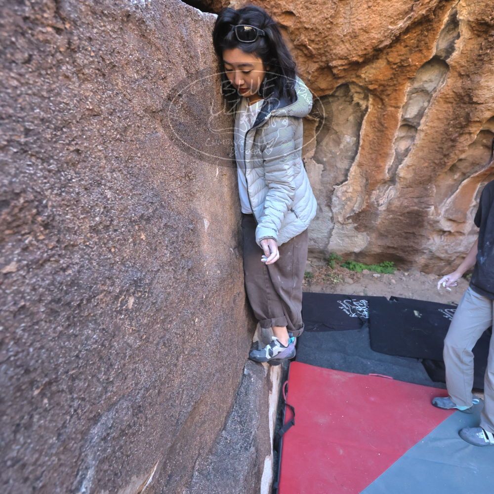 

Filename: SRM_20251109_1447330.jpg
Aperture: f/4.0
Shutter Speed: 1/1250
Body: Canon EOS R6
Lens: Canon EF 16-35mm f/2.8 L