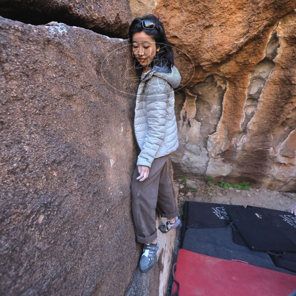 

Filename: SRM_20251109_1448100.jpg
Aperture: f/4.0
Shutter Speed: 1/1250
Body: Canon EOS R6
Lens: Canon EF 16-35mm f/2.8 L