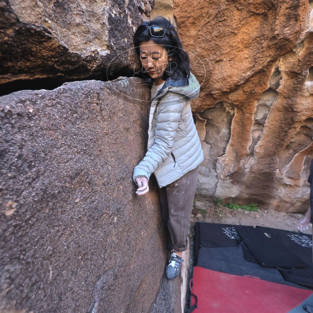 

Filename: SRM_20251109_1448160.jpg
Aperture: f/4.0
Shutter Speed: 1/1250
Body: Canon EOS R6
Lens: Canon EF 16-35mm f/2.8 L