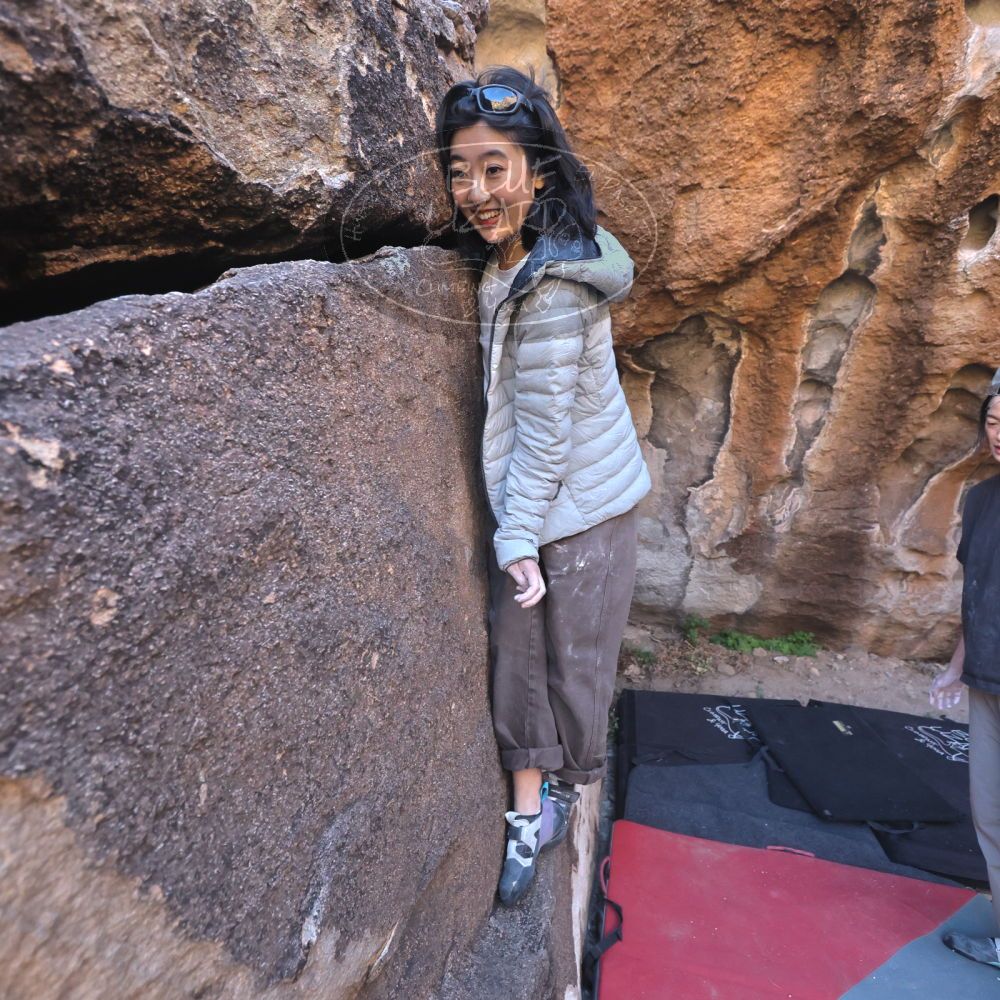 

Filename: SRM_20251109_1448200.jpg
Aperture: f/4.0
Shutter Speed: 1/1250
Body: Canon EOS R6
Lens: Canon EF 16-35mm f/2.8 L