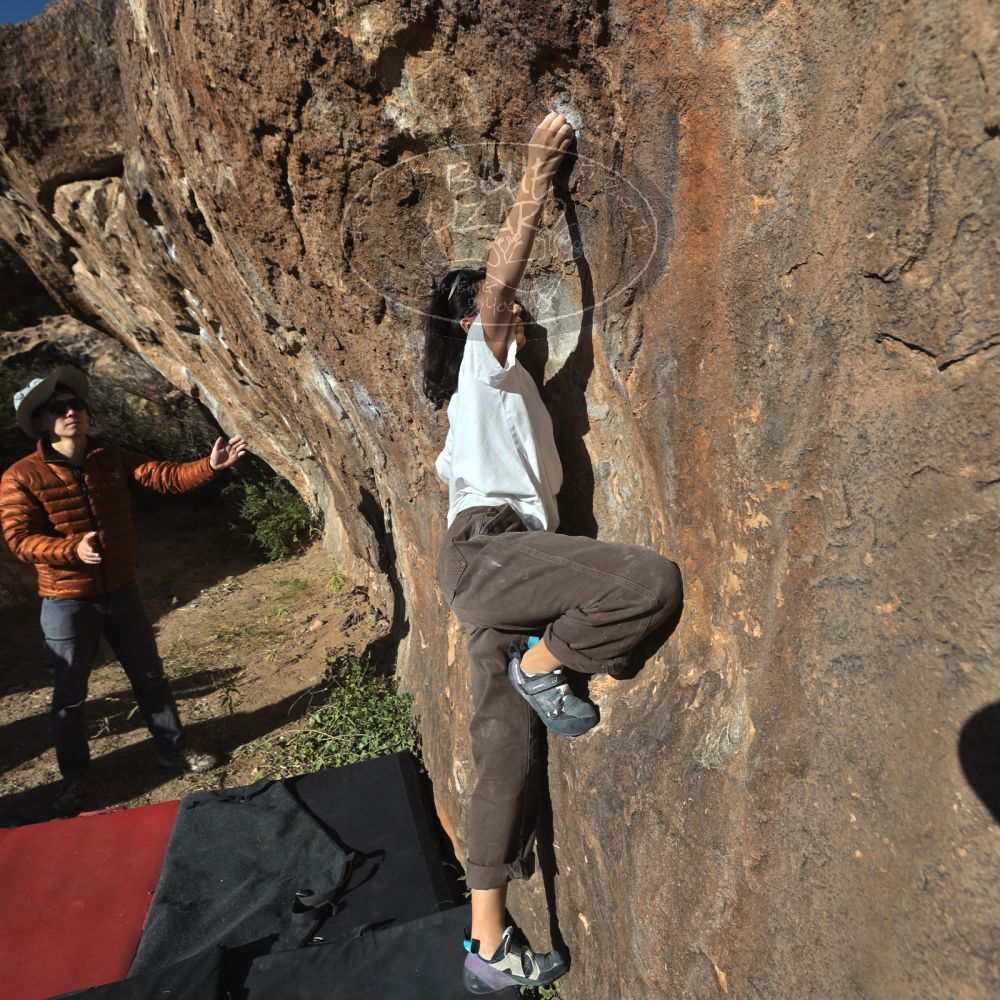 

Filename: SRM_20251109_1518340.jpg
Aperture: f/5.6
Shutter Speed: 1/1250
Body: Canon EOS R6
Lens: Canon EF 16-35mm f/2.8 L