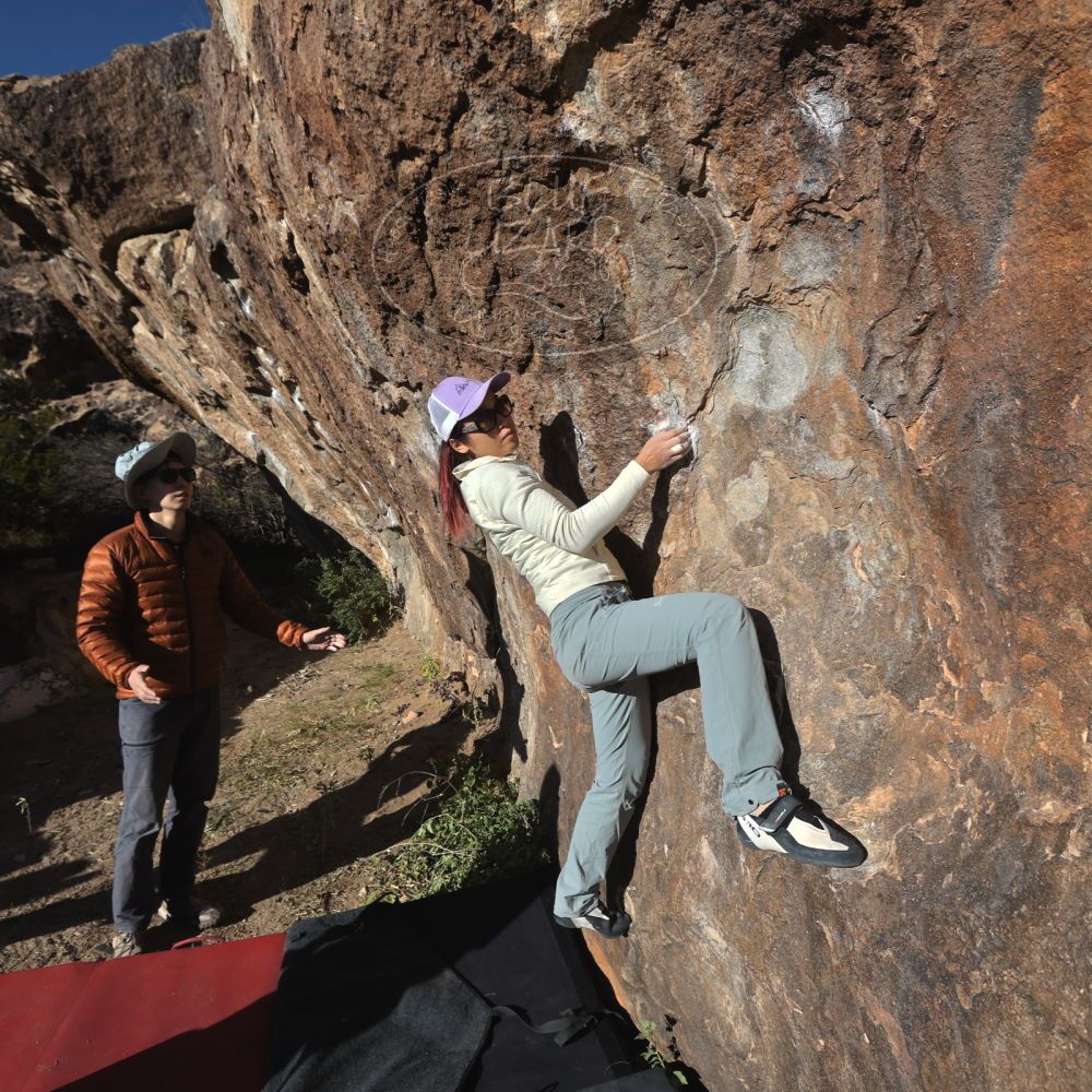 

Filename: SRM_20251109_1520320.jpg
Aperture: f/5.6
Shutter Speed: 1/1250
Body: Canon EOS R6
Lens: Canon EF 16-35mm f/2.8 L