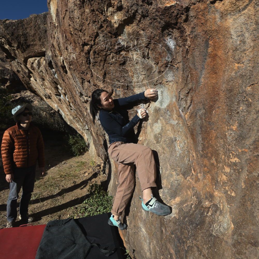 

Filename: SRM_20251109_1521300.jpg
Aperture: f/5.6
Shutter Speed: 1/2000
Body: Canon EOS R6
Lens: Canon EF 16-35mm f/2.8 L