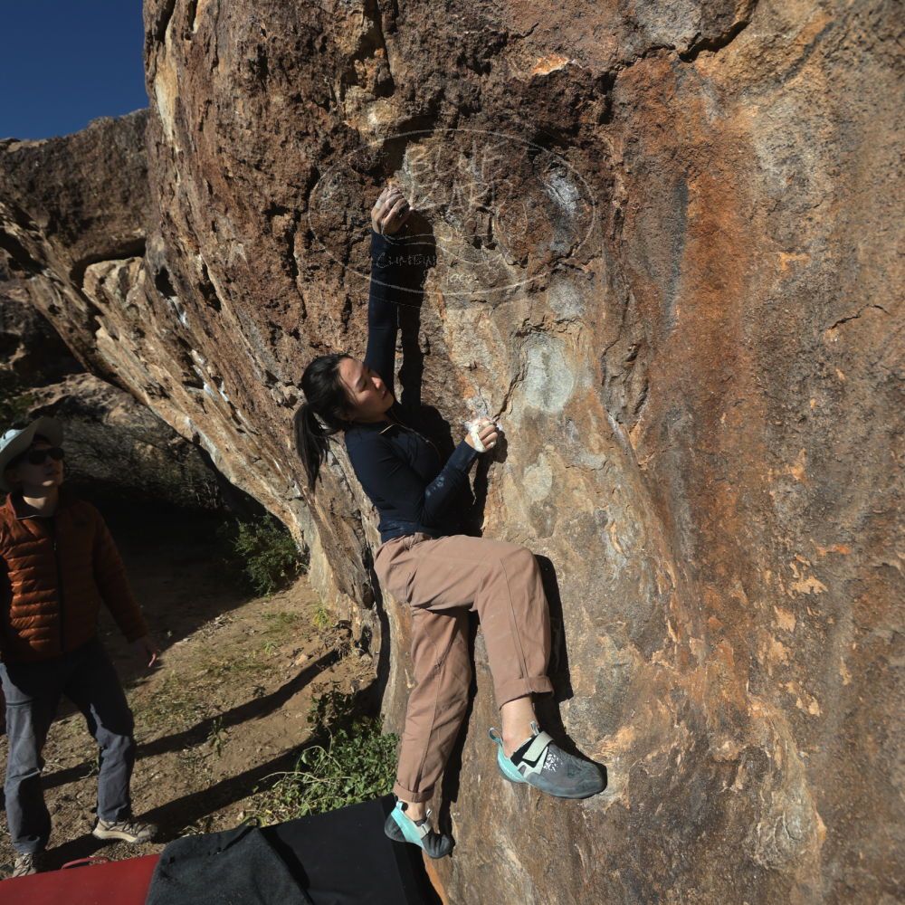 

Filename: SRM_20251109_1521310.jpg
Aperture: f/5.6
Shutter Speed: 1/2000
Body: Canon EOS R6
Lens: Canon EF 16-35mm f/2.8 L