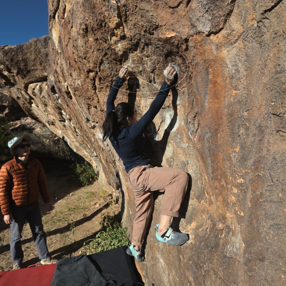 

Filename: SRM_20251109_1521370.jpg
Aperture: f/5.6
Shutter Speed: 1/2000
Body: Canon EOS R6
Lens: Canon EF 16-35mm f/2.8 L