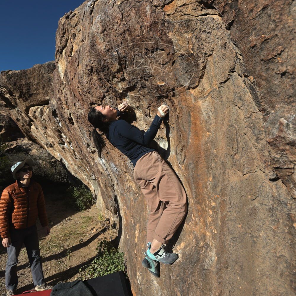 

Filename: SRM_20251109_1521410.jpg
Aperture: f/5.6
Shutter Speed: 1/2000
Body: Canon EOS R6
Lens: Canon EF 16-35mm f/2.8 L