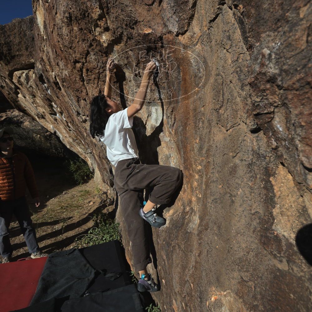 

Filename: SRM_20251109_1522400.jpg
Aperture: f/5.6
Shutter Speed: 1/2000
Body: Canon EOS R6
Lens: Canon EF 16-35mm f/2.8 L