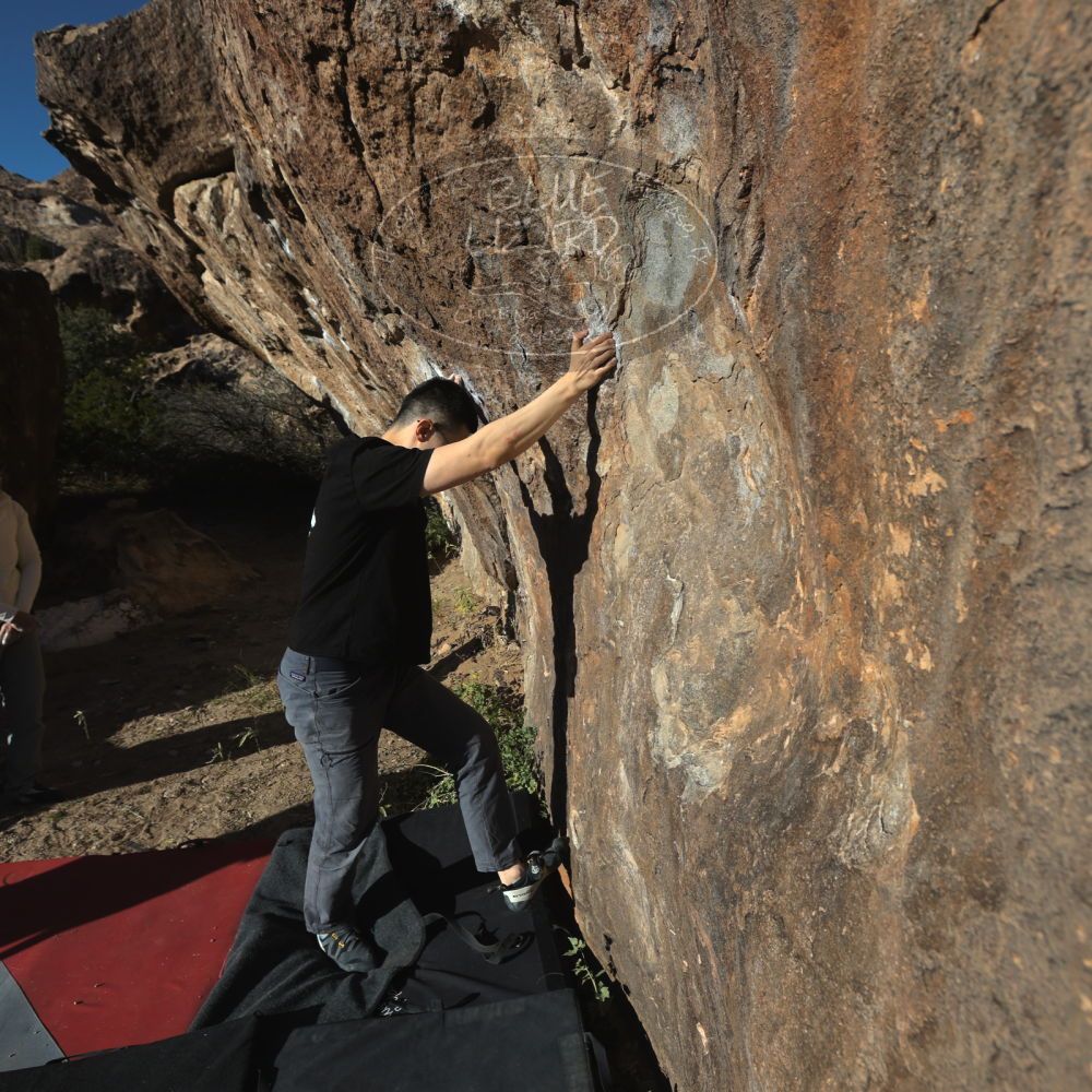 

Filename: SRM_20251109_1524560.jpg
Aperture: f/5.6
Shutter Speed: 1/2000
Body: Canon EOS R6
Lens: Canon EF 16-35mm f/2.8 L