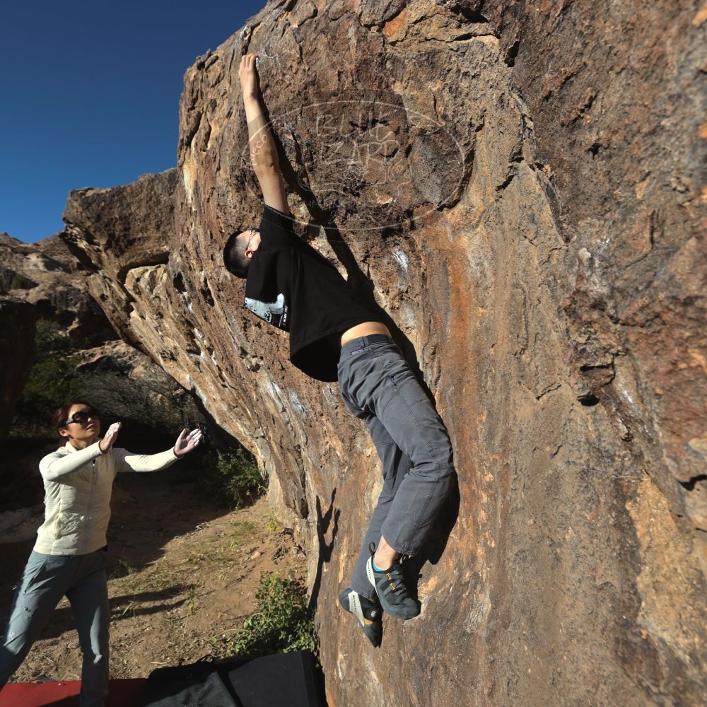 

Filename: SRM_20251109_1525110.jpg
Aperture: f/5.6
Shutter Speed: 1/2000
Body: Canon EOS R6
Lens: Canon EF 16-35mm f/2.8 L