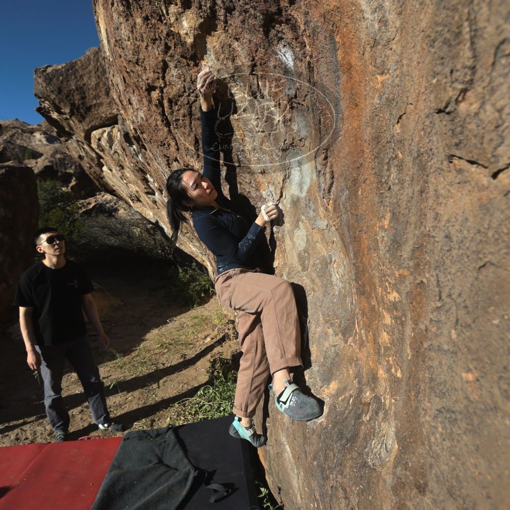 

Filename: SRM_20251109_1526130.jpg
Aperture: f/5.6
Shutter Speed: 1/2000
Body: Canon EOS R6
Lens: Canon EF 16-35mm f/2.8 L