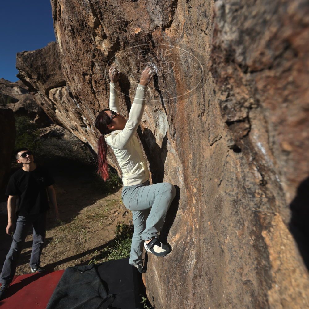 

Filename: SRM_20251109_1527510.jpg
Aperture: f/5.6
Shutter Speed: 1/2000
Body: Canon EOS R6
Lens: Canon EF 16-35mm f/2.8 L