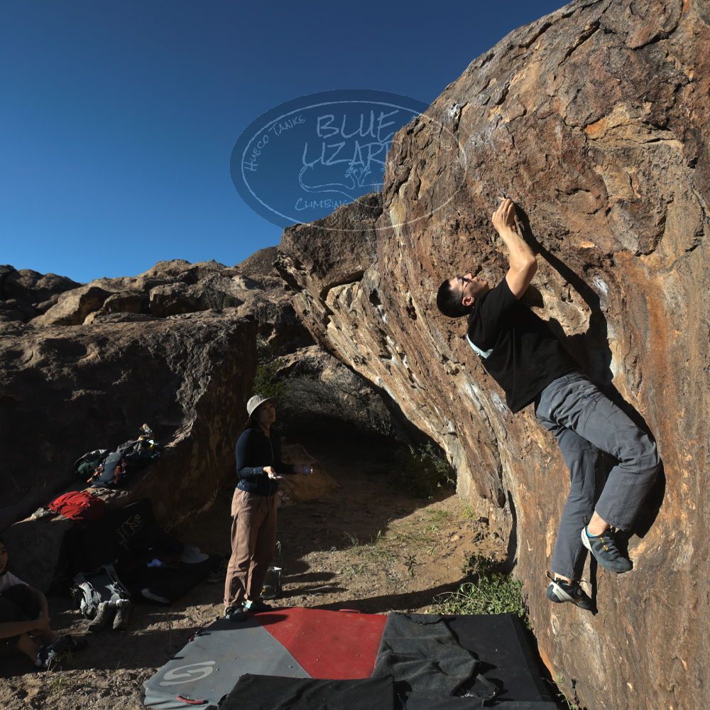 

Filename: SRM_20251109_1533290.jpg
Aperture: f/5.6
Shutter Speed: 1/2000
Body: Canon EOS R6
Lens: Canon EF 16-35mm f/2.8 L