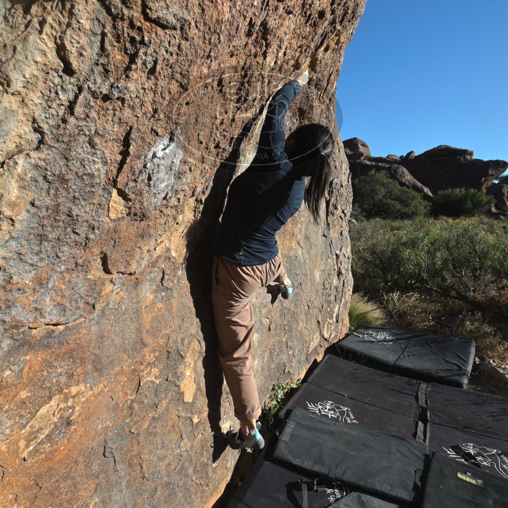 

Filename: SRM_20251109_1537420.jpg
Aperture: f/5.6
Shutter Speed: 1/2000
Body: Canon EOS R6
Lens: Canon EF 16-35mm f/2.8 L