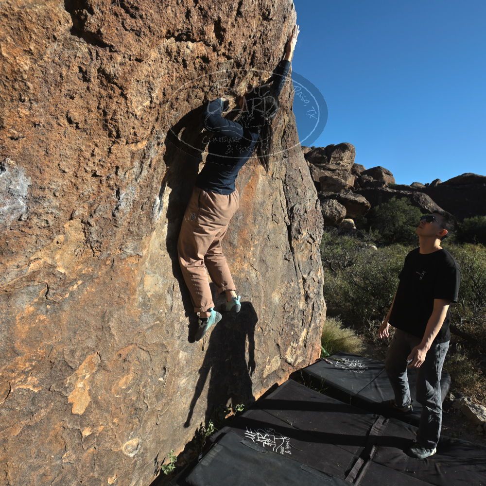 

Filename: SRM_20251109_1537580.jpg
Aperture: f/5.6
Shutter Speed: 1/2000
Body: Canon EOS R6
Lens: Canon EF 16-35mm f/2.8 L