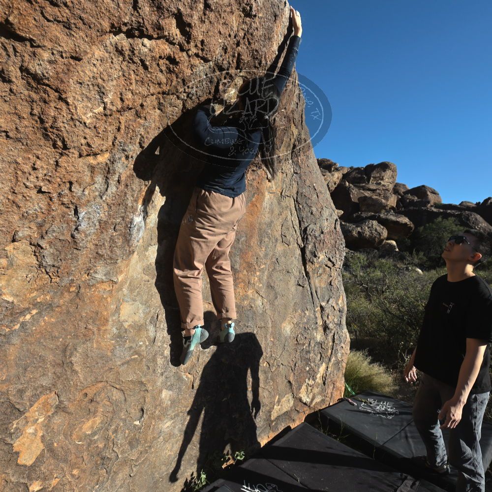 

Filename: SRM_20251109_1537590.jpg
Aperture: f/5.6
Shutter Speed: 1/2000
Body: Canon EOS R6
Lens: Canon EF 16-35mm f/2.8 L