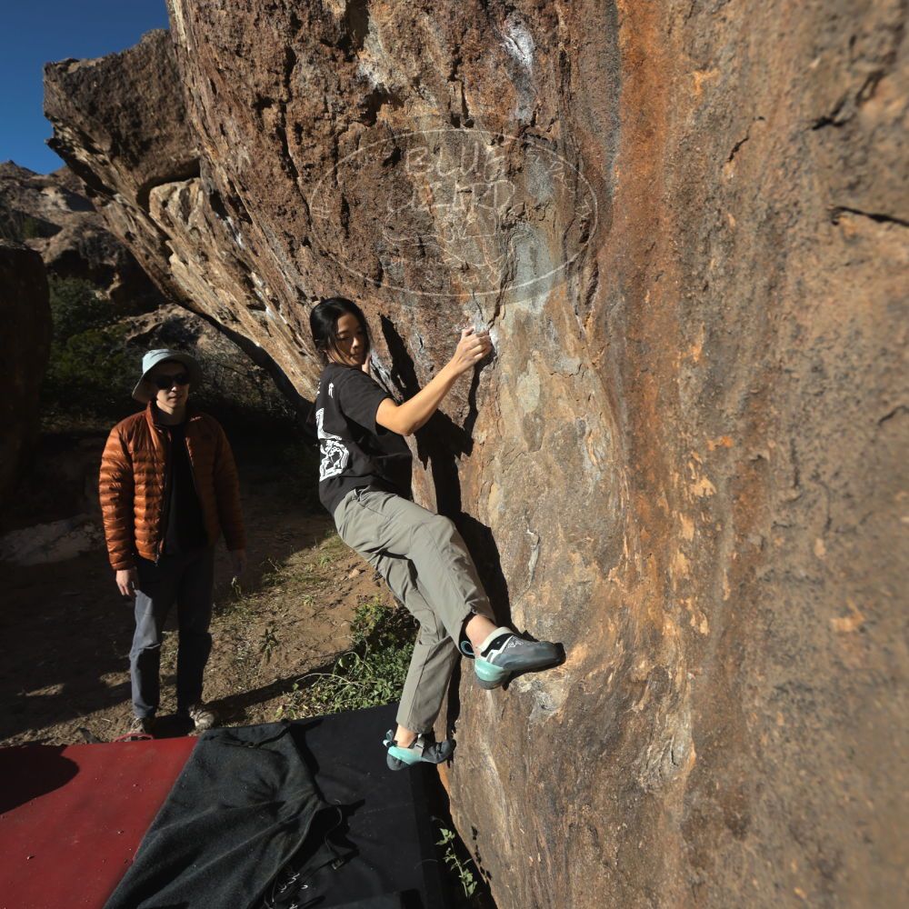 

Filename: SRM_20251109_1543280.jpg
Aperture: f/5.6
Shutter Speed: 1/2000
Body: Canon EOS R6
Lens: Canon EF 16-35mm f/2.8 L