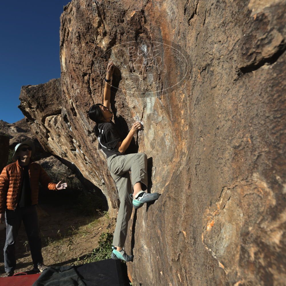 

Filename: SRM_20251109_1545290.jpg
Aperture: f/5.6
Shutter Speed: 1/2000
Body: Canon EOS R6
Lens: Canon EF 16-35mm f/2.8 L