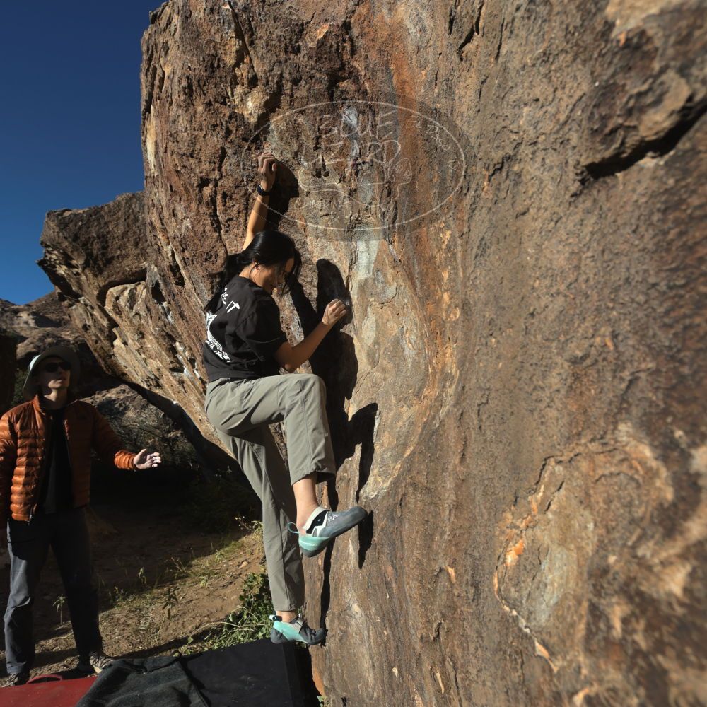 

Filename: SRM_20251109_1545310.jpg
Aperture: f/5.6
Shutter Speed: 1/2000
Body: Canon EOS R6
Lens: Canon EF 16-35mm f/2.8 L